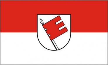 Flagge Fahne Landkreis Tübingen 90 x 150 cm