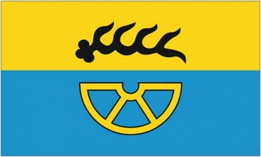 Flagge Fahne Landkreis Tuttlingen 90 x 150 cm