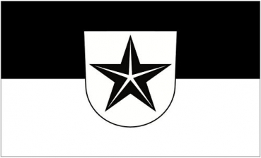 Flagge Fahne Engen 90 x 150 cm