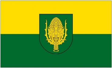 Flagge Fahne Baienfurt 90 x 150 cm