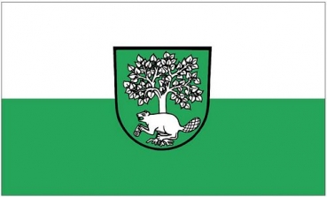 Flagge Fahne Biberach Baden 90 x 150 cm