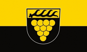 Flagge Fahne Weinstadt 90 x 150 cm
