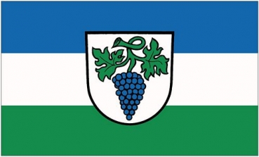 Flagge Fahne Weingarten Baden 90 x 150 cm