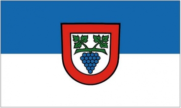 Flagge Fahne Büsingen am Hochrhein 90 x 150 cm