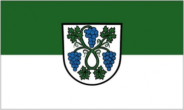 Flagge Fahne Dossenheim 90 x 150 cm