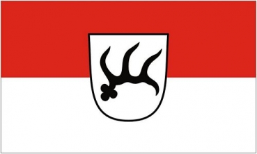 Flagge Fahne Münsingen 90 x 150 cm