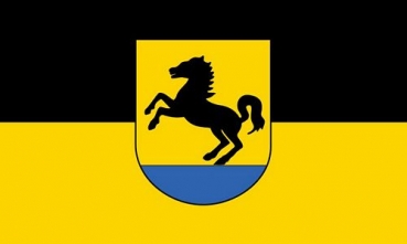 Flagge Fahne Bad Rappenau 90 x 150 cm