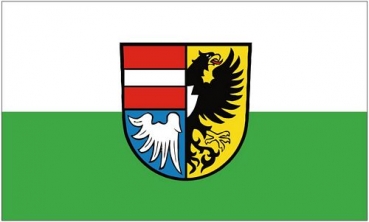 Flagge Fahne Herbolzheim 90 x 150 cm