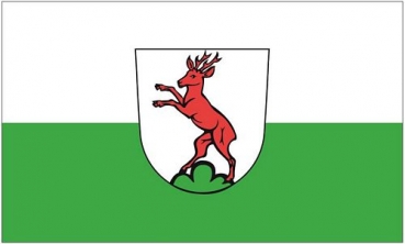 Flagge Fahne Rechberghausen 90 x 150 cm