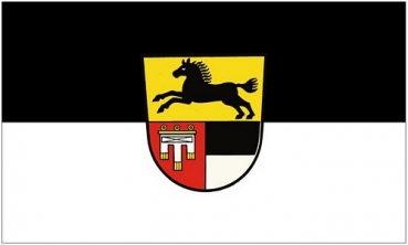 Flagge Fahne Langenau 90 x 150 cm