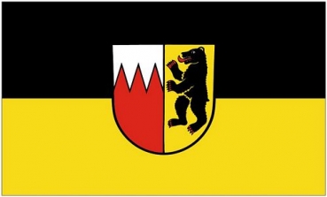 Flagge Fahne Dietingen 90 x 150 cm