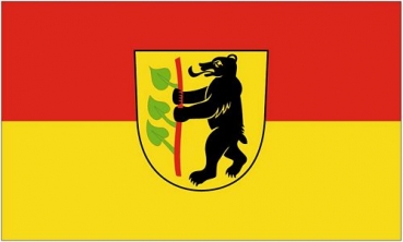 Flagge Fahne Rangendingen 90 x 150 cm