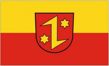 Flagge Fahne Dettingen an der Erms 90 x 150 cm