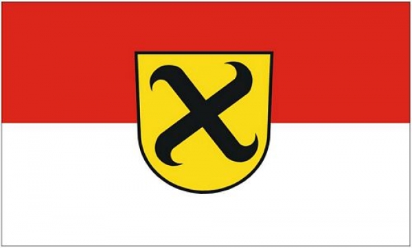 Flagge Fahne Pleidelsheim 90 x 150 cm