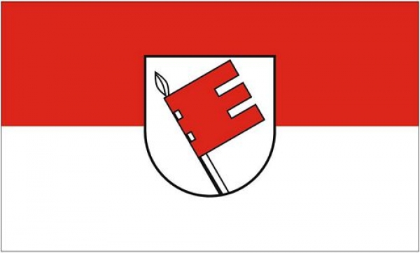 Flagge Fahne Landkreis Tübingen 90 x 150 cm