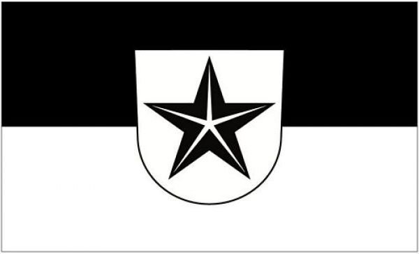 Flagge Fahne Engen 90 x 150 cm