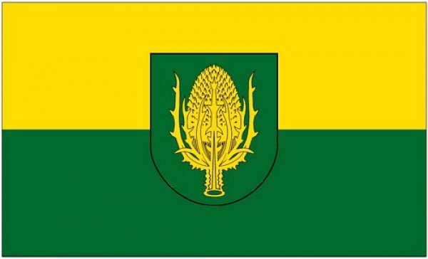Flagge Fahne Baienfurt 90 x 150 cm
