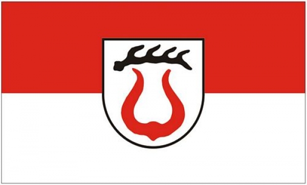 Flagge Fahne Sachsenheim 90 x 150 cm
