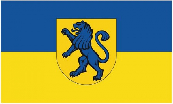 Flagge Fahne Salach 90 x 150 cm