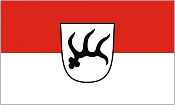 Flagge Fahne Münsingen 90 x 150 cm