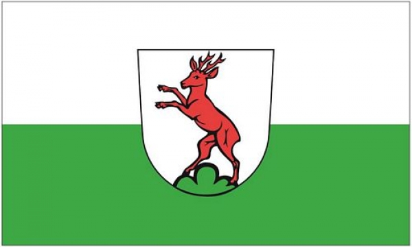 Flagge Fahne Rechberghausen 90 x 150 cm